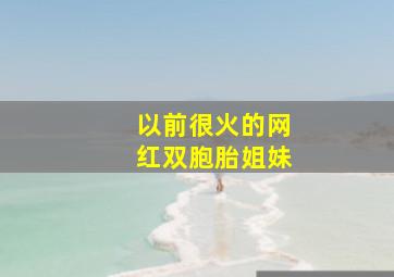 以前很火的网红双胞胎姐妹