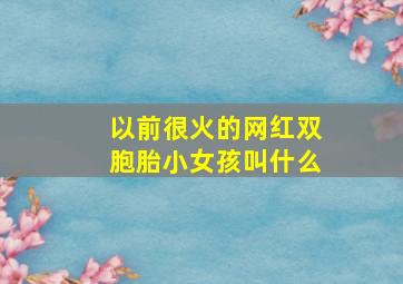 以前很火的网红双胞胎小女孩叫什么