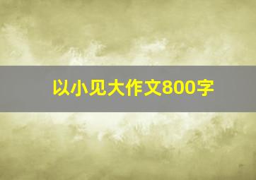 以小见大作文800字