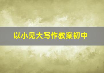 以小见大写作教案初中