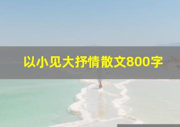 以小见大抒情散文800字