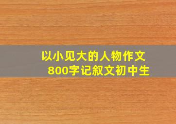 以小见大的人物作文800字记叙文初中生