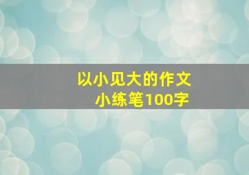 以小见大的作文小练笔100字