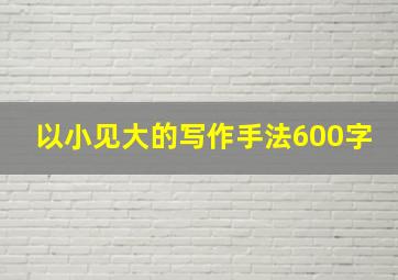 以小见大的写作手法600字