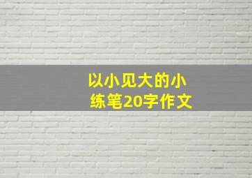 以小见大的小练笔20字作文