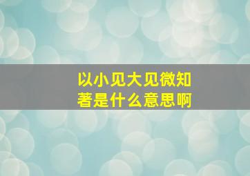 以小见大见微知著是什么意思啊