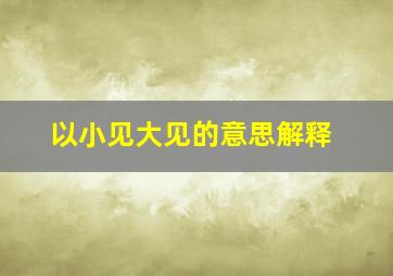 以小见大见的意思解释