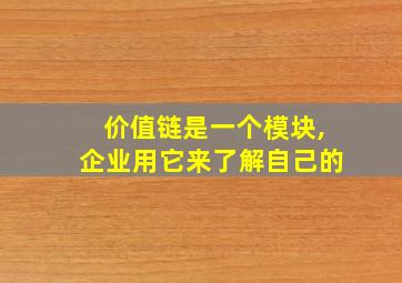 价值链是一个模块,企业用它来了解自己的