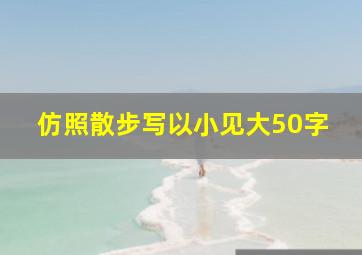 仿照散步写以小见大50字