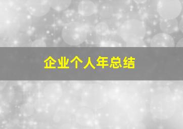 企业个人年总结