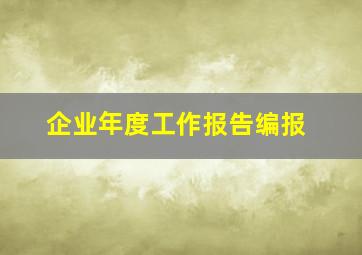 企业年度工作报告编报