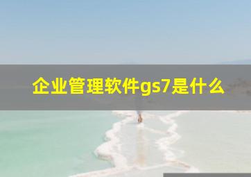 企业管理软件gs7是什么