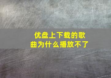 优盘上下载的歌曲为什么播放不了