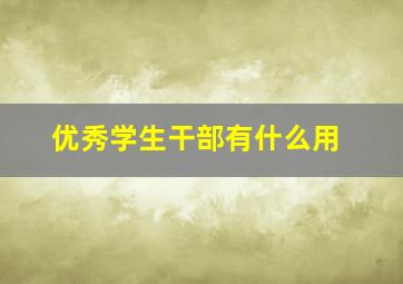 优秀学生干部有什么用