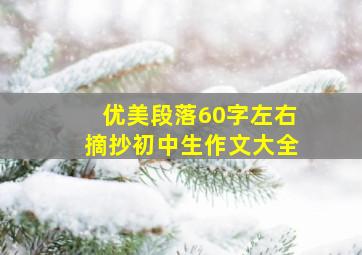 优美段落60字左右摘抄初中生作文大全