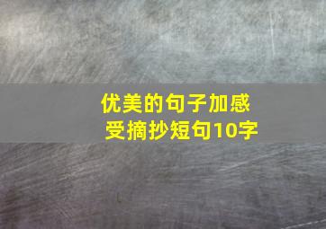 优美的句子加感受摘抄短句10字