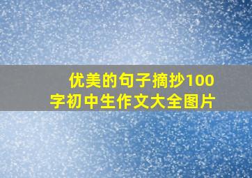 优美的句子摘抄100字初中生作文大全图片