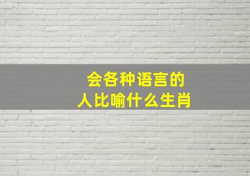 会各种语言的人比喻什么生肖