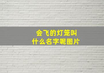 会飞的灯笼叫什么名字呢图片