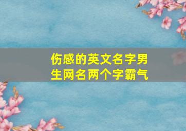 伤感的英文名字男生网名两个字霸气