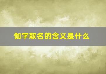 伽字取名的含义是什么