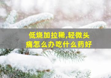 低烧加拉稀,轻微头痛怎么办吃什么药好