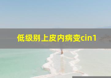 低级别上皮内病变cin1