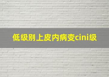 低级别上皮内病变cini级