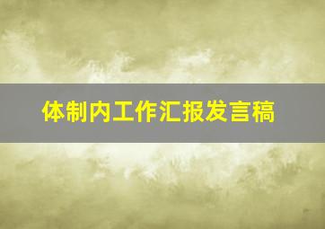 体制内工作汇报发言稿