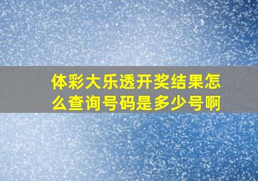 体彩大乐透开奖结果怎么查询号码是多少号啊