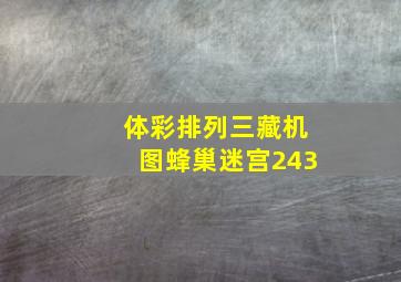 体彩排列三藏机图蜂巢迷宫243