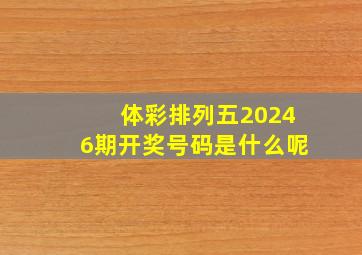 体彩排列五20246期开奖号码是什么呢