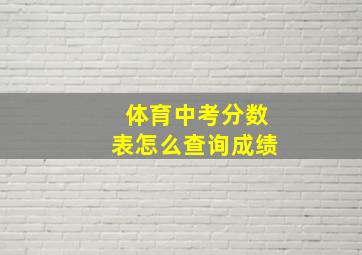 体育中考分数表怎么查询成绩