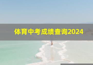 体育中考成绩查询2024