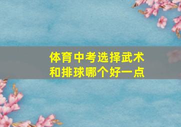 体育中考选择武术和排球哪个好一点