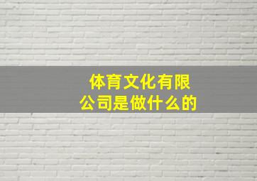 体育文化有限公司是做什么的