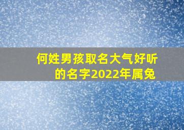 何姓男孩取名大气好听的名字2022年属兔