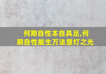 何期自性本自具足,何期自性能生万法慧灯之光