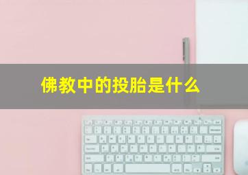 佛教中的投胎是什么