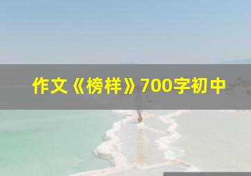 作文《榜样》700字初中