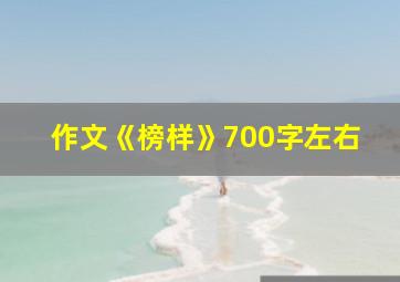 作文《榜样》700字左右