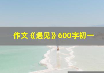 作文《遇见》600字初一