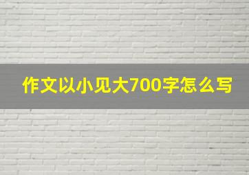 作文以小见大700字怎么写