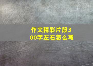 作文精彩片段300字左右怎么写