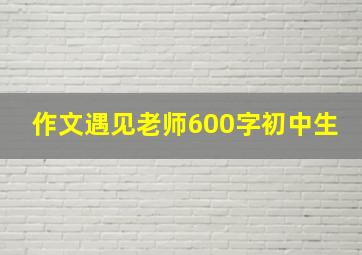 作文遇见老师600字初中生