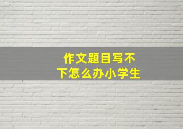 作文题目写不下怎么办小学生