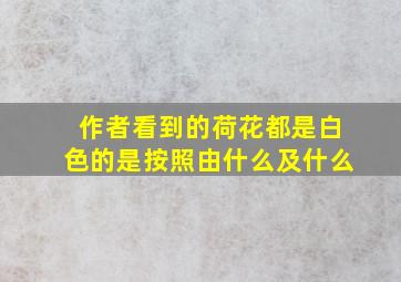 作者看到的荷花都是白色的是按照由什么及什么