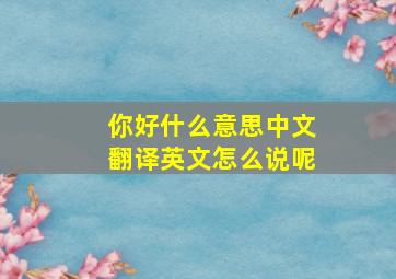 你好什么意思中文翻译英文怎么说呢