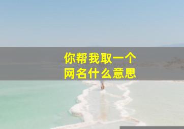 你帮我取一个网名什么意思