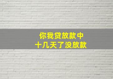 你我贷放款中十几天了没放款